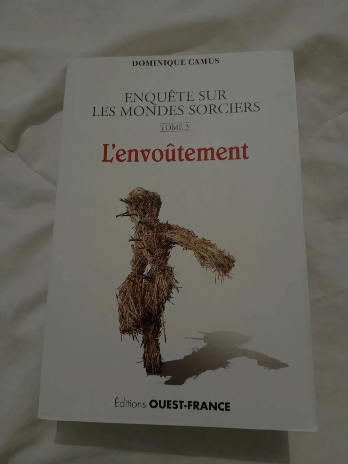 L'envoûtement enquêtes sur les mondes sorciers Dominique camus